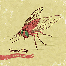 House Fly - Uncle Larry